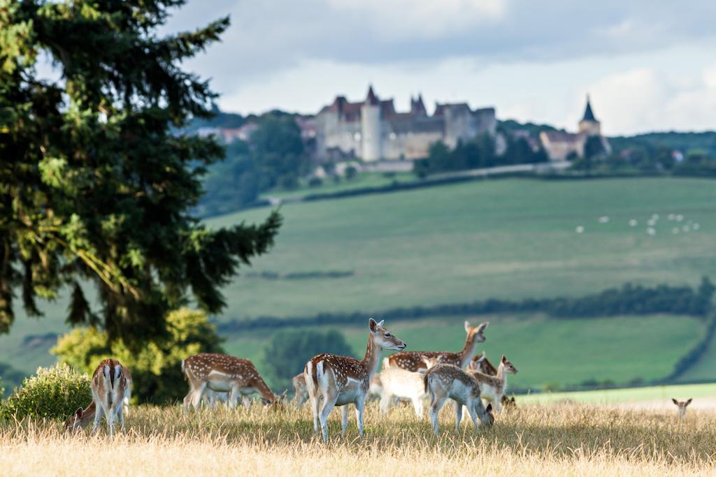 Chateau Sainte Sabine Dış mekan fotoğraf